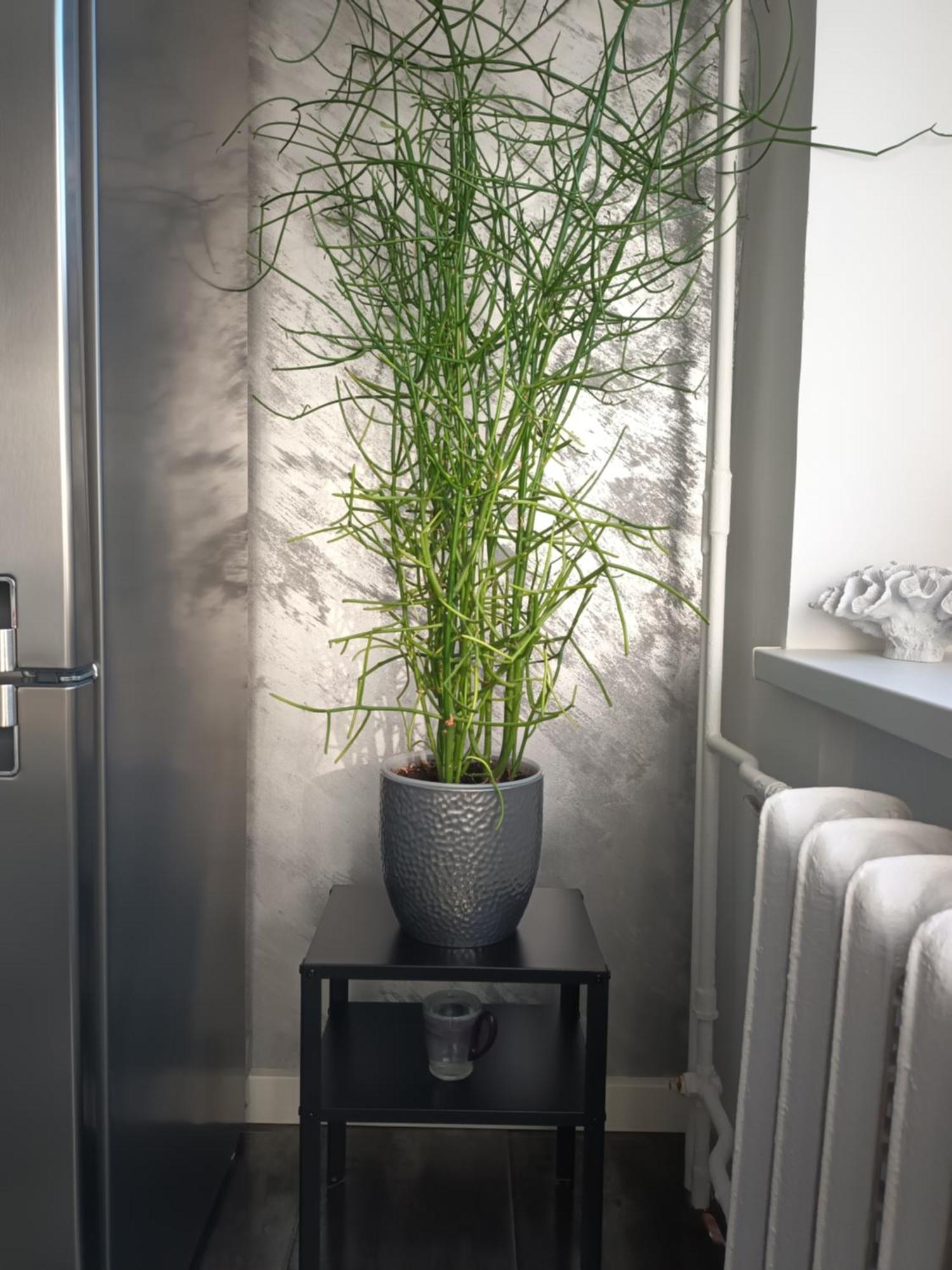 Apartment Tallinn Dış mekan fotoğraf